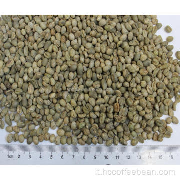 chicchi di caffè verde crudo tipo arabica